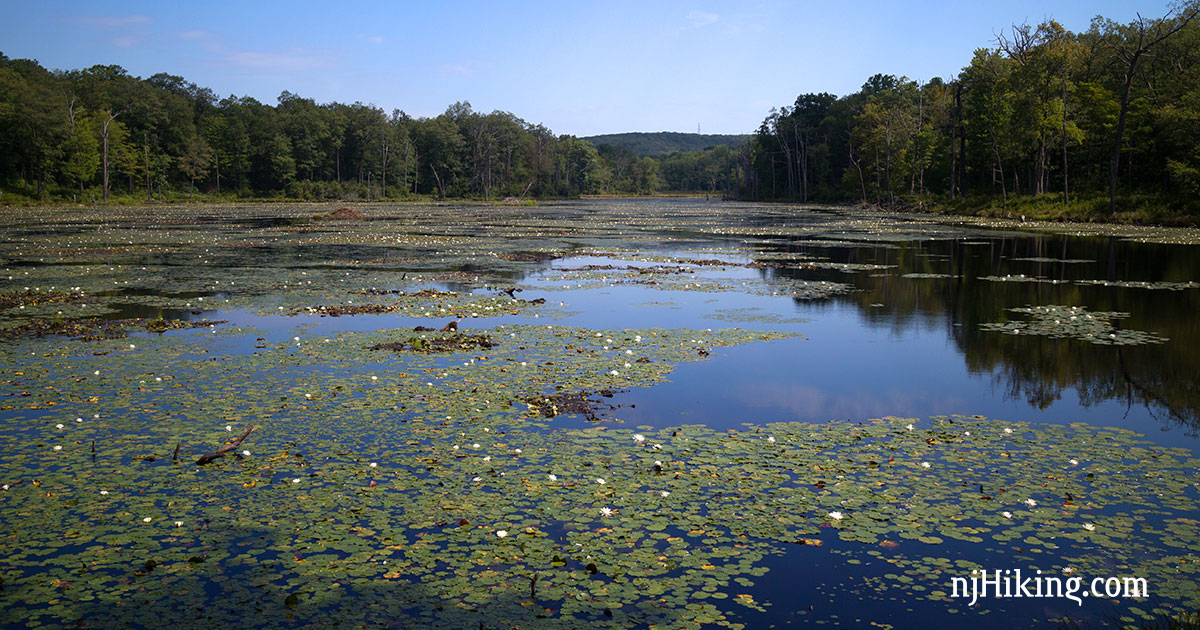 Hiking Beaver Brook Trail Past Lost Lake