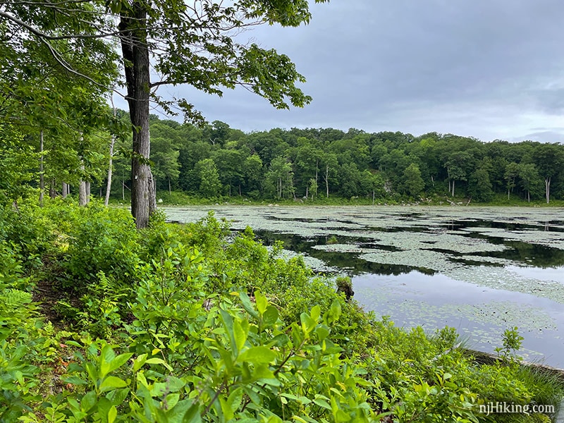 Beaver Brook Trail to Lost Lake
