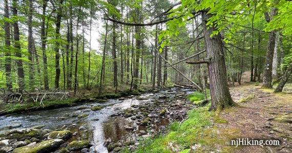 Big Flat Brook along Blue Mountain Loop trail