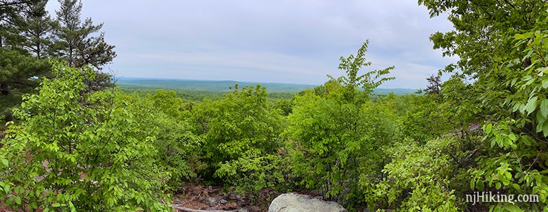 View over green tree tops to a ridge