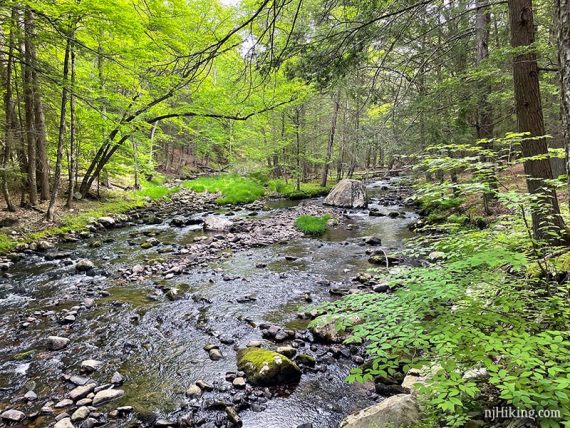 Brook with rocks in it