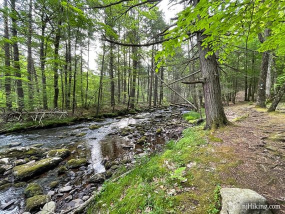 Big Flat Brook next to Blue Mountain Trail