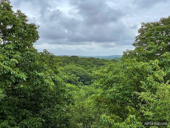 Headley Overlook