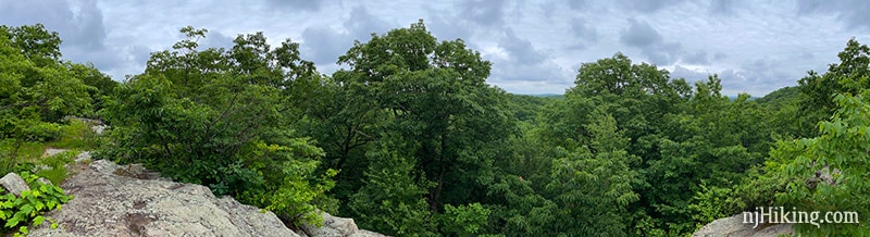 Panoramic view from Headley Overlook