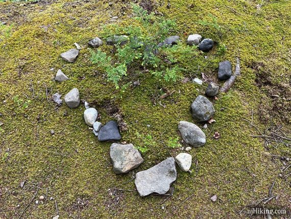 Rocks placed in a heart shape along a trail