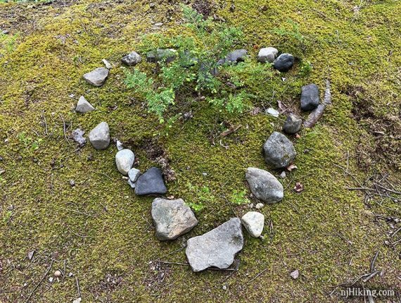 Rocks placed in a heart shape along a trail
