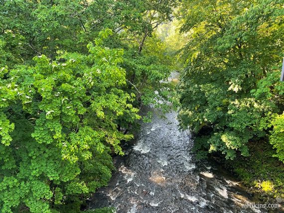 Rushing river surrounded by green trees.