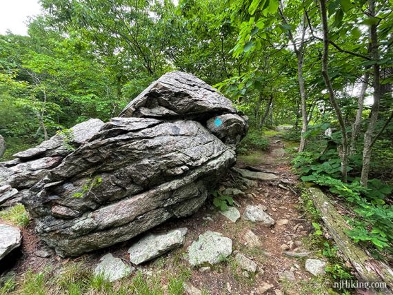 Glacial erratic on a trail