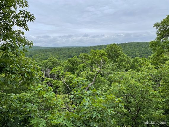 Viewpoint over green hills with low clouds in the sky