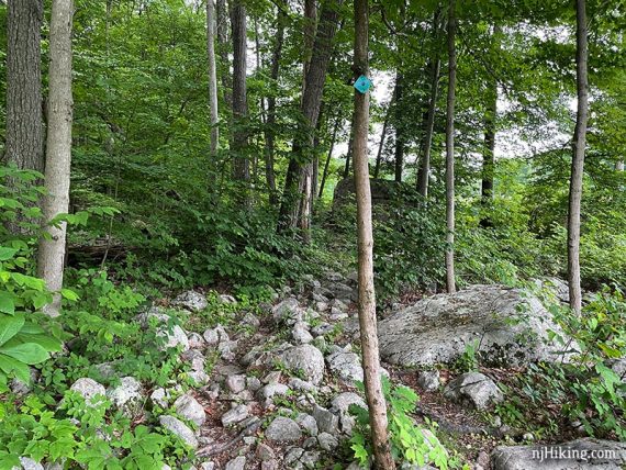 Rocky trail with a black dot on teal diamond marker 