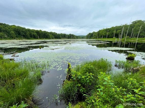 Lost Lake with lily pads and vegetation