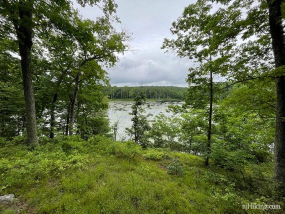 View of Lost Lake through a clearing in the the trees