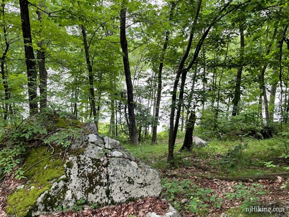 View of a lake through trees with a large rock in the foreground