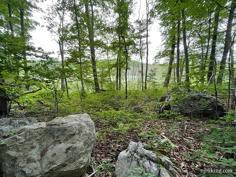 Beaver Brook Trail to Lost Lake