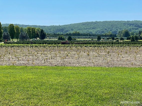 Tractor with farmland in the foreground.