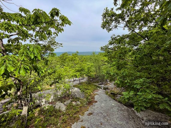 View over trees of a ridge in the distance