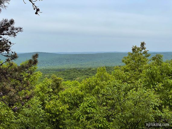 Close up of green trees in the foreground and over the distant ridges