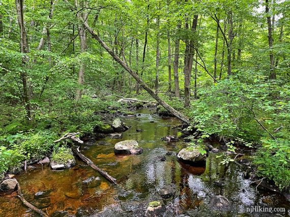 Weldon Brook
