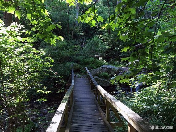 Bridge on Coppermine Trail