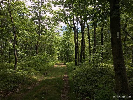 Appalachian Trail