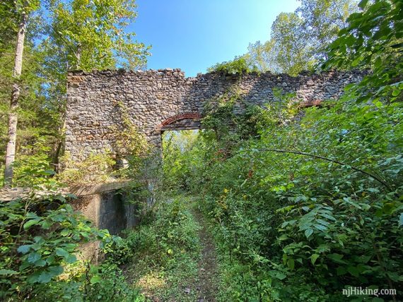 Path to stone wall with arches overgrown with foliage.