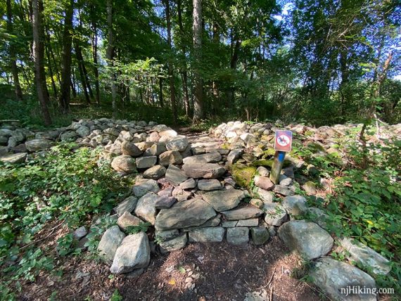 Stone steps on a trail.