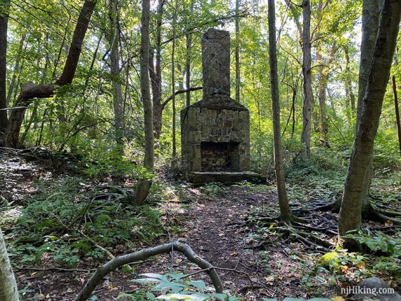 Remains of a stone chimney.