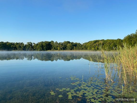 Green trees reflected in crystal clear lake.