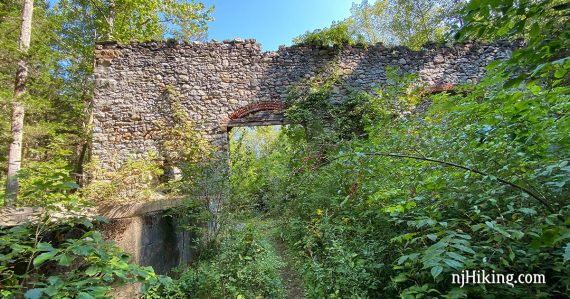 Stone wall ruins surrounded by green foliage.