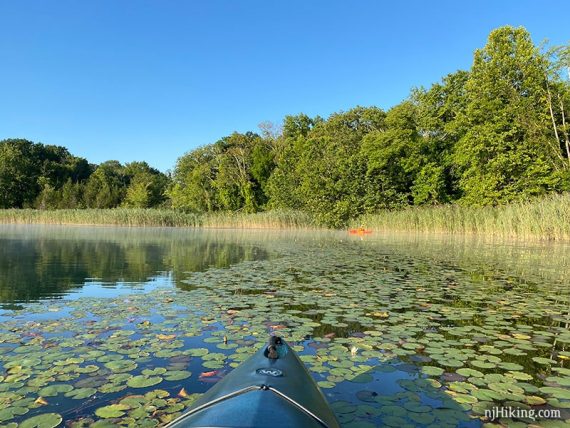 Kayak in lily pads on a lake