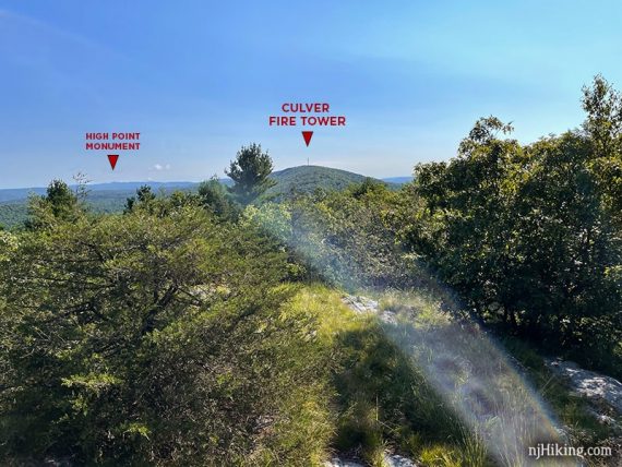 View noting the High Point Monument and Culver Fire Tower in the distance.