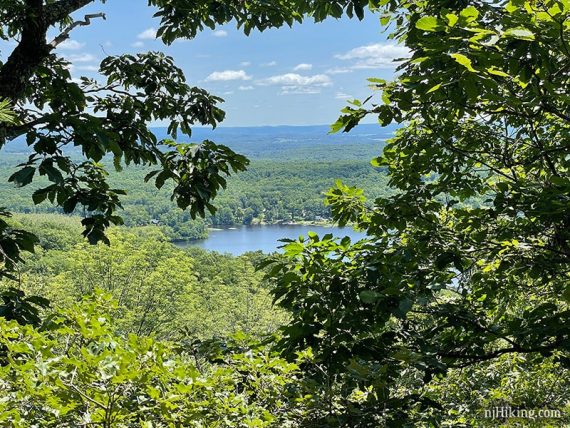 Lake Owassa seen through a break in the trees.