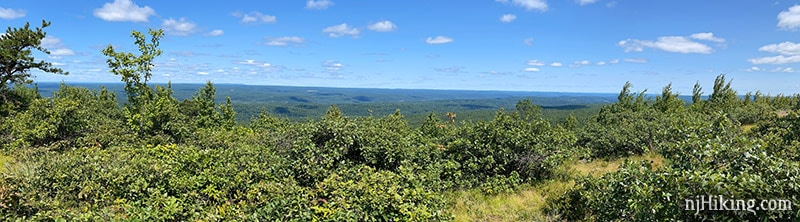Panoramic view from Blue Mountain.