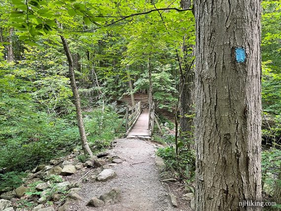 Blue blaze on a tree and a trail footbridge