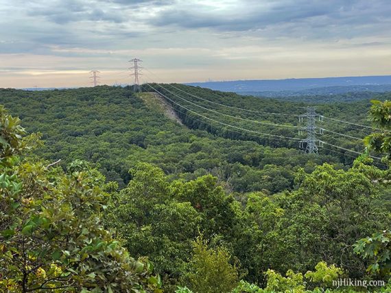 Green hills with a power line cut and NYC skyline