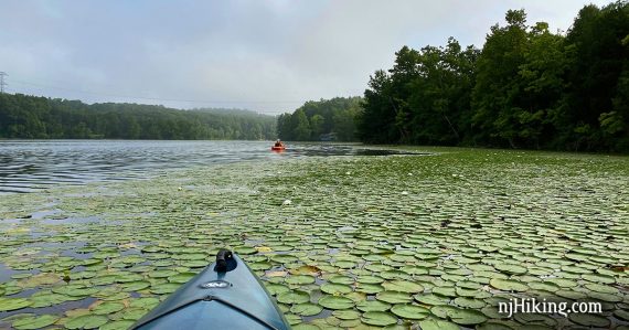 Kayaker on a lily-pad covered Lake Aeroflex.