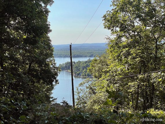 Limited view of a lake through a break in trees due to a power line.