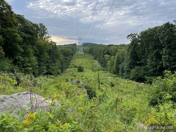 Power line cut through forest