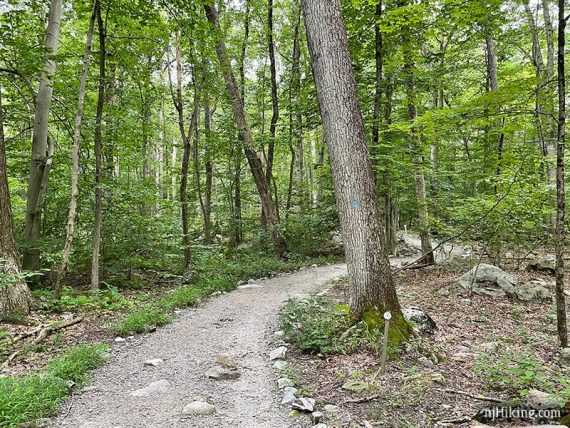 Gravel path lined with rocks