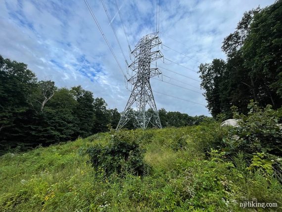 Power line tower