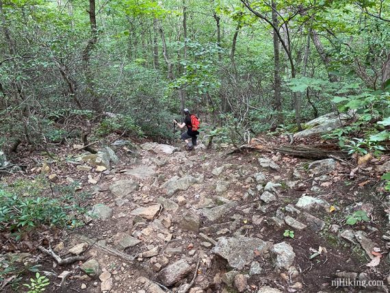 Rocky steep trail