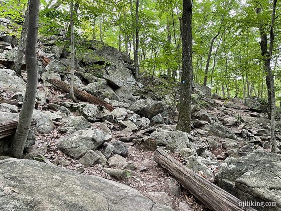 Very rocky trail