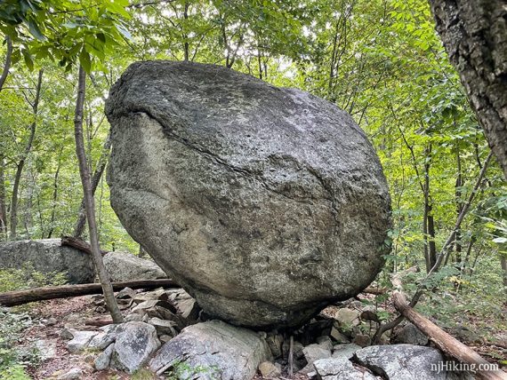 Whale Head Rock