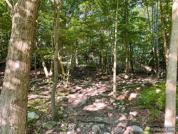 Rocky wide trail.