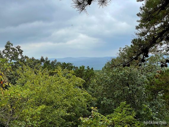 Hazy blue mountains in the background with green trees in the foreground