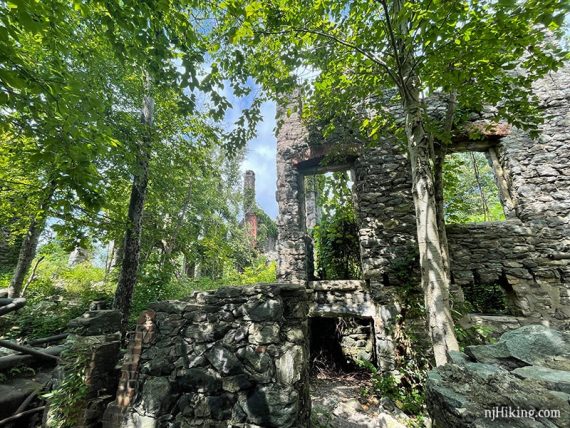 Stone walls of Van Slyke Castle