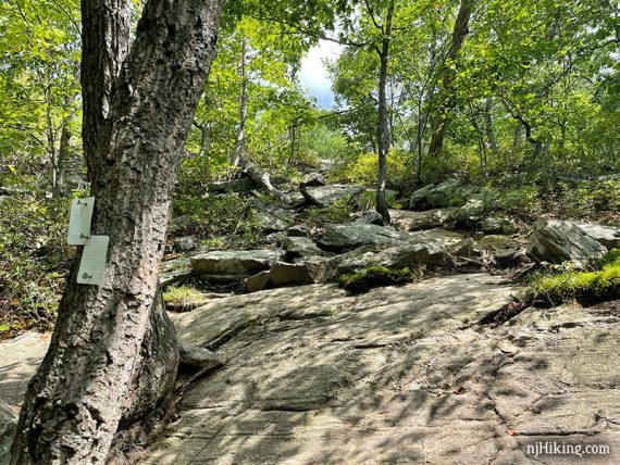 Uphill over a large rock slab