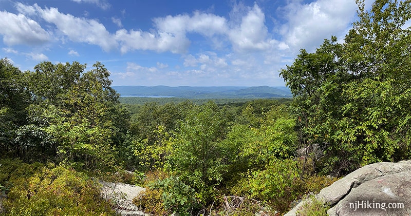 View of low mountains with green trees in the foreground