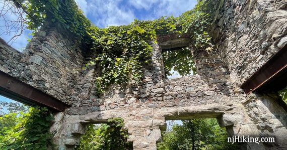 Stone wall with vegetation growing over