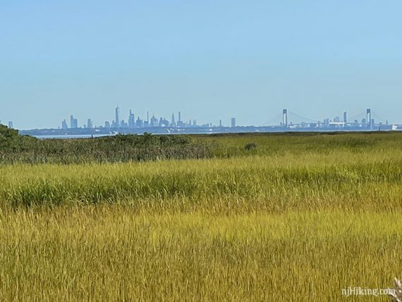 Zoom into the New York skyline with grassy marshland in the foreground